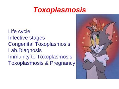  Toxoplasma: Bu Küçük Parazitin Gizemli Yaşam Döngüsü Seni Şaşırtacak!